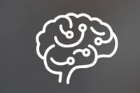 Healthy Memory & Focus*