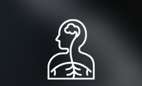 Nervous System Support*
